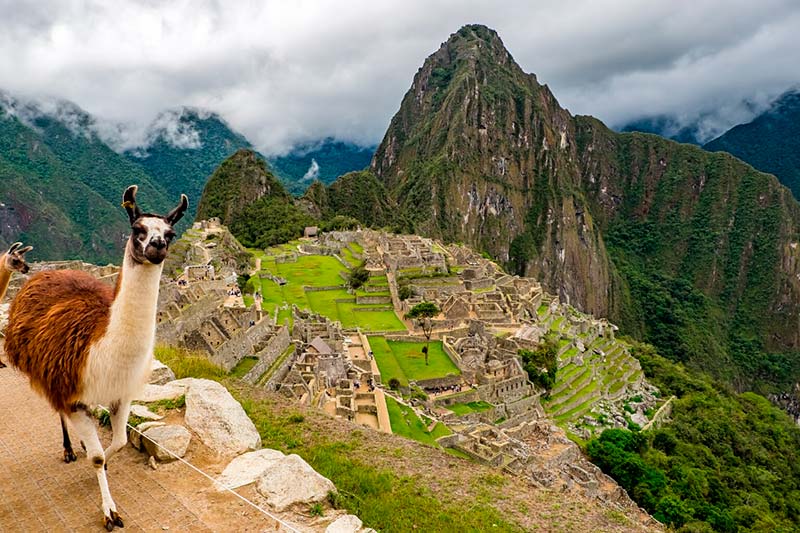 Santuario Machu Picchu